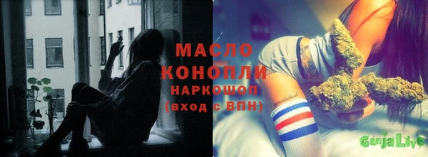 дживик Пересвет