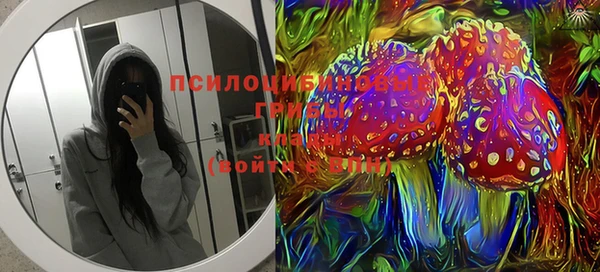 дживик Пересвет