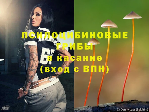 спиды Абаза