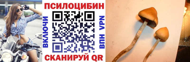 блэк спрут как войти  где купить наркоту  дарк нет как зайти  Галлюциногенные грибы Magic Shrooms  Алагир 