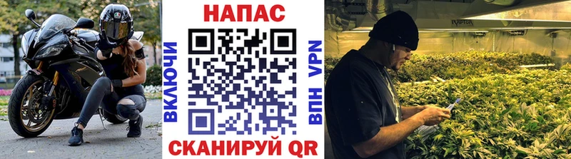 Бошки марихуана марихуана  кракен онион  Алагир 